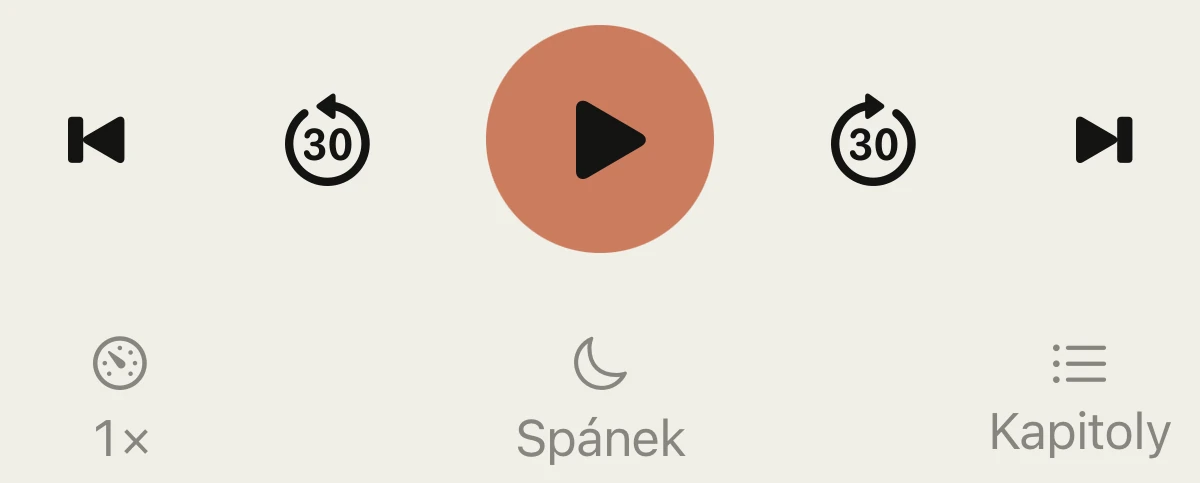 Player controls: chapter scrubber, 30 second skips, speed, sleep and chapters